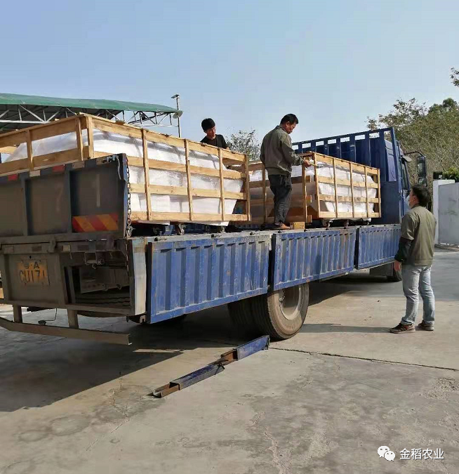 河南省金稻楊總團(tuán)隊(duì)前來廣州交流學(xué)習(xí)及提設(shè)備