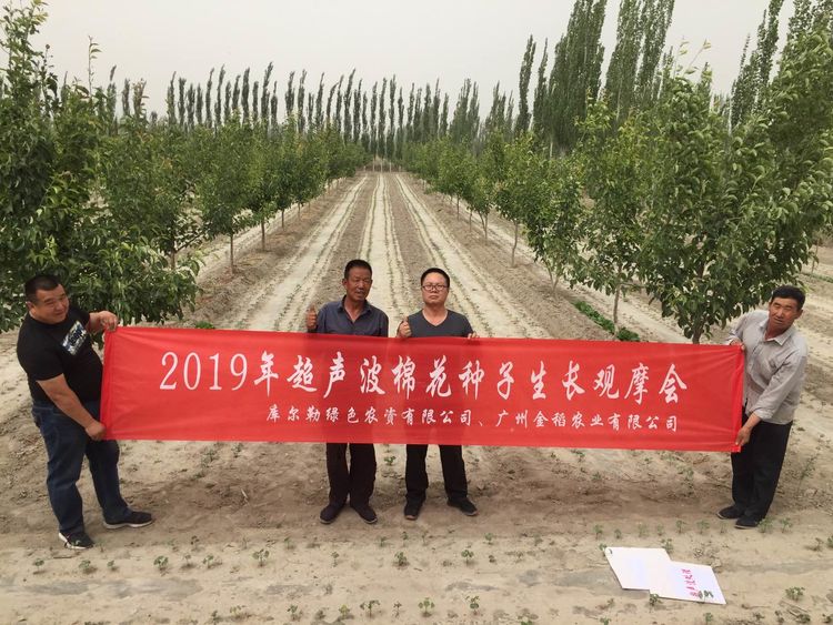 新疆省庫爾勒市棉花種植田間調查觀摩會