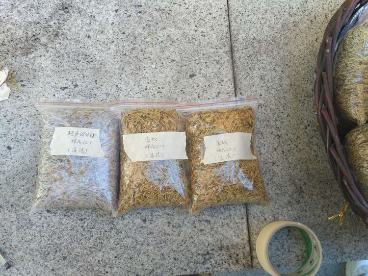 “超聲波處理對稻谷表面微生物的影響”發(fā)表論文啦！！