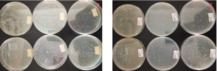“超聲波處理對稻谷表面微生物的影響”發表論文啦!!