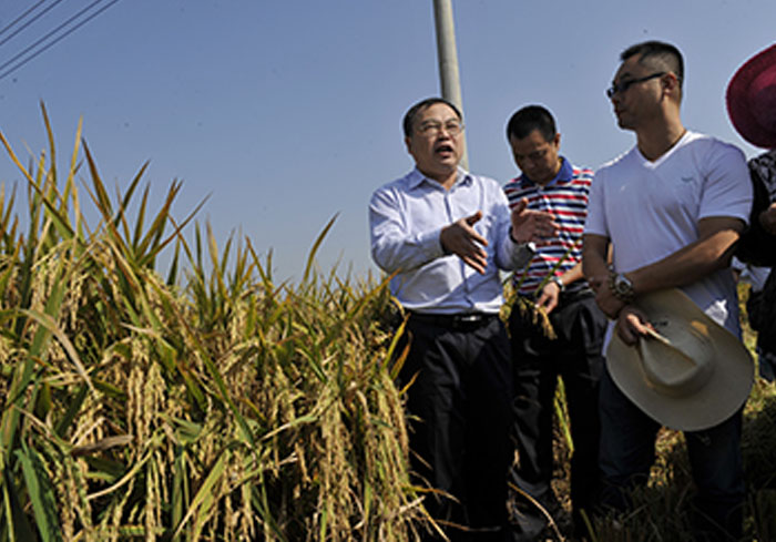 1700970224183218.jpg 1700970220(1).jpg