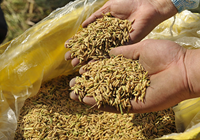 1700970315565694.jpg 1700970304(1).jpg