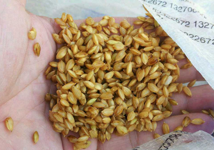 1700970837173477.jpg 6.jpg